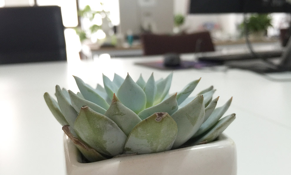 思考 · 執(zhí)行 · 創(chuàng)造