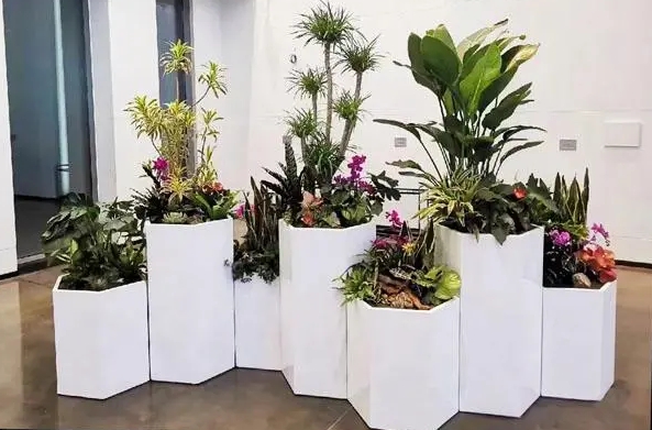 怎么搭建制作一個(gè)園藝類，景觀，綠植方面的網(wǎng)站？